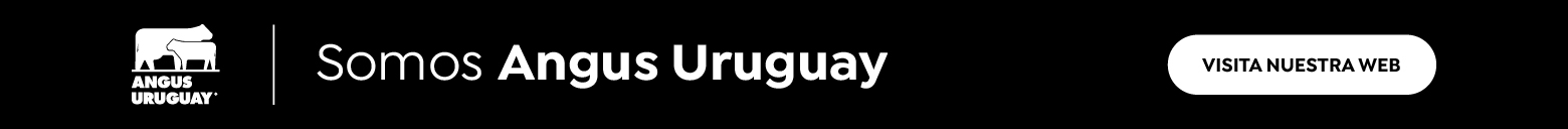 Somos Angus Angus Uruguay - Visita Nuestra Web