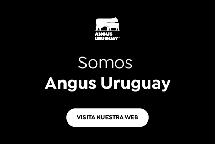 Somos Angus Angus Uruguay - Visita Nuestra Web